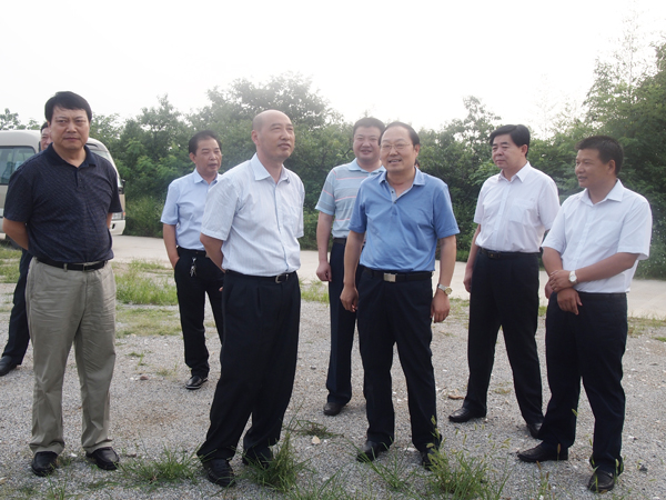 省林業(yè)產(chǎn)業(yè)集群調(diào)研組來(lái)廣義茶印象園調(diào)研